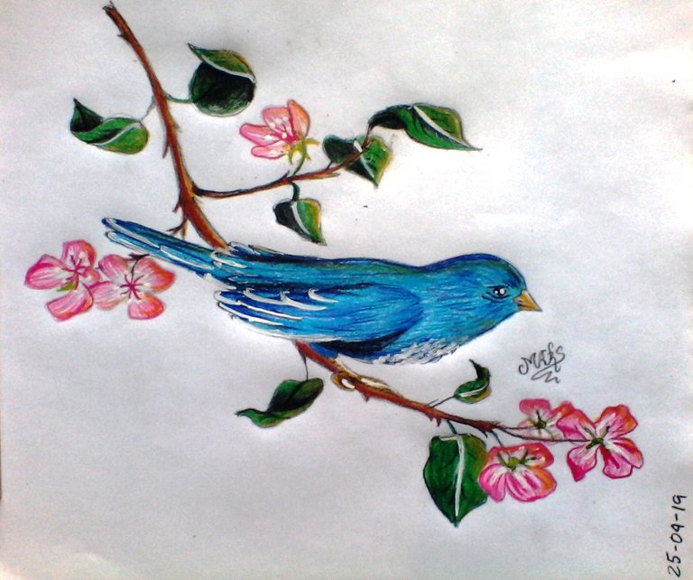 POESIA Y DIBUJO (4).jpg