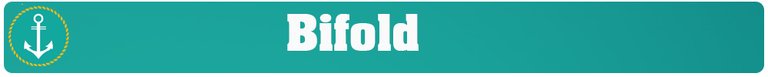 Bifold.jpg