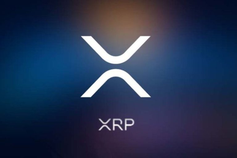 xrp-800x533.jpg