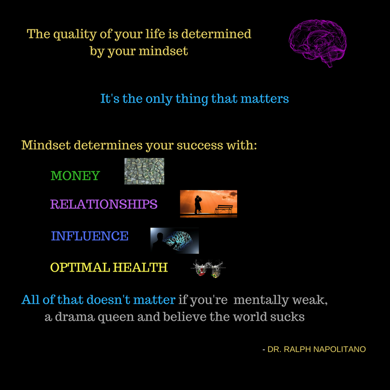 The quality of your life is determined by your mindset.png