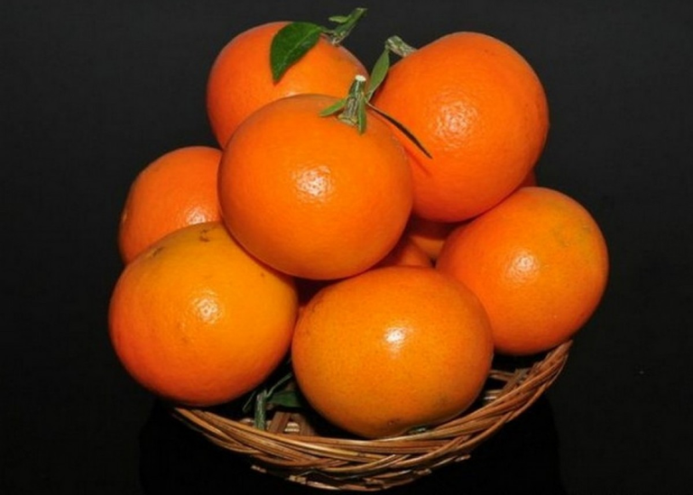 JRM 2012 New Varieties of Citrus  Sweet and Hold Up to 60 Days - Indonesia's Natural Wealth (1).png