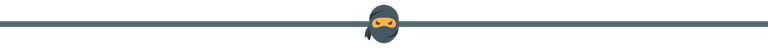 Ninja.png