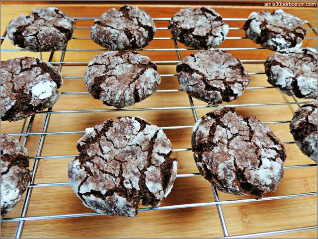 Rejilla-Galletas-Crinkles-Chocolate-Coco.jpg