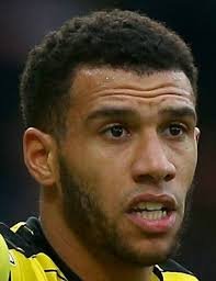 Etienne Capoue Transfermarkt.jpg