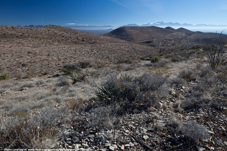 NMDesert-001-071518.jpg