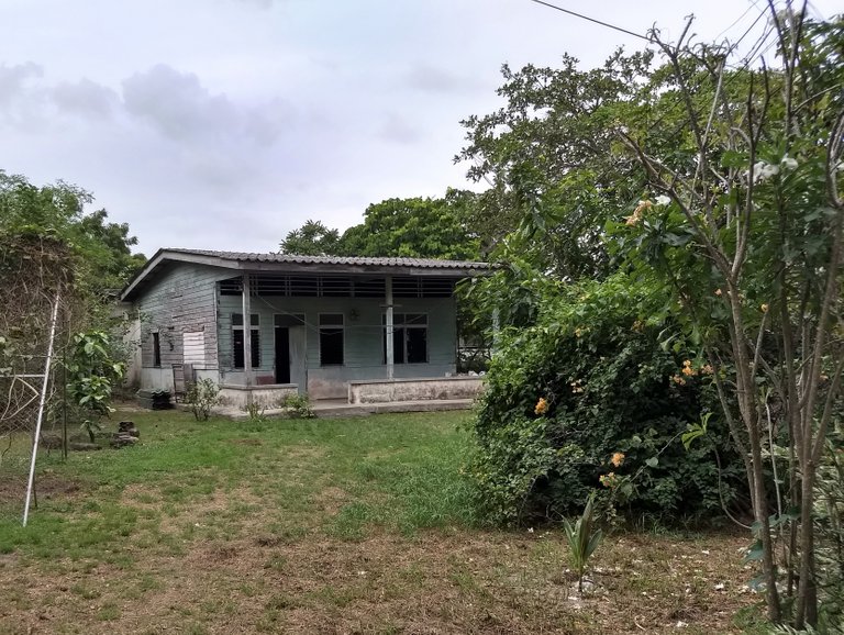 IMG_20180824_173524792_HDR.jpg