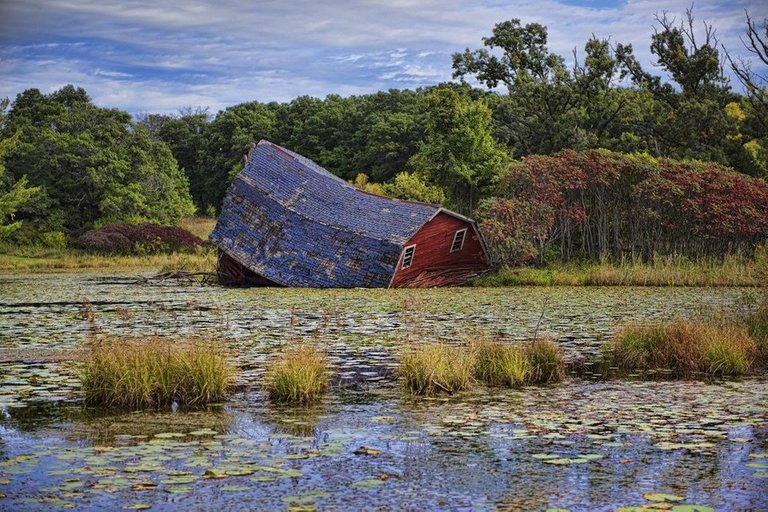 Barn falling off into a swamp.jpg