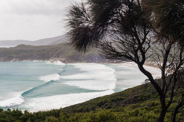 Great Ocean Road 2010 - 16last-1-4.jpg