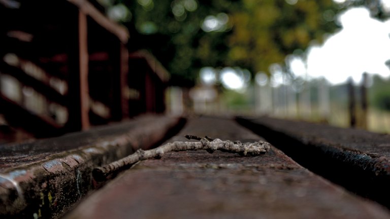 bleachers-blur-blurred-background-952446.jpg