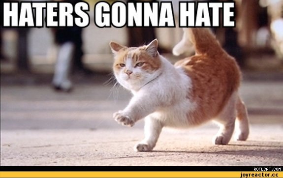 котэ-песочница-haters-gonna-hate-fuck-yea-213056.jpeg