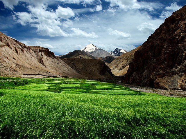 Markha-Valley-640x480.jpg