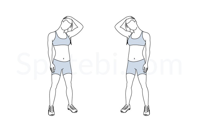 neck-stretch-exercise-illustration.jpg