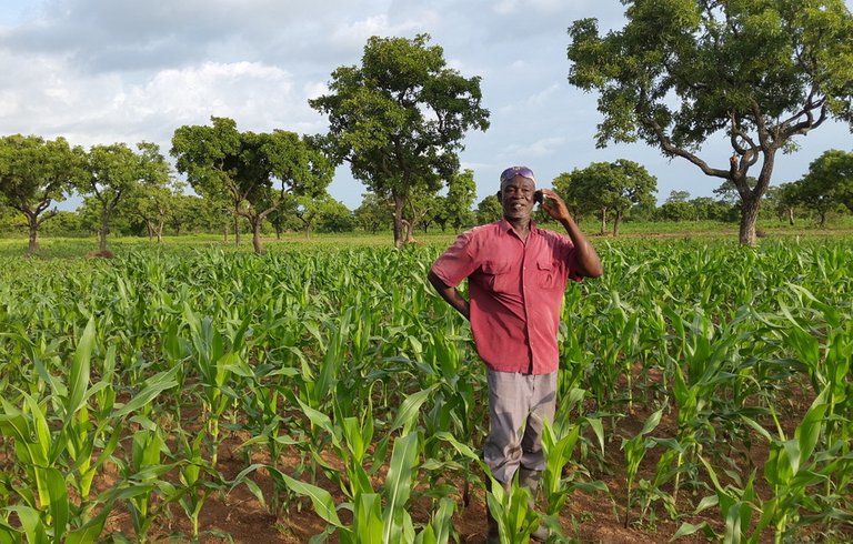 ibrahim_latif-_nucleus_farmer.jpg