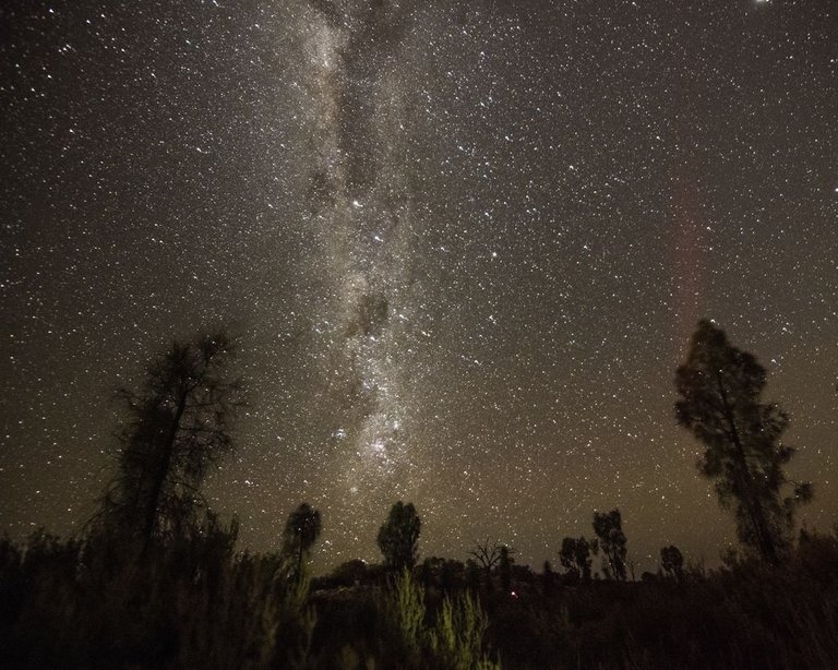 9._Outback_Night_Sky_2__William_Ishak.jpg.990x0_q80_crop-smart.jpg