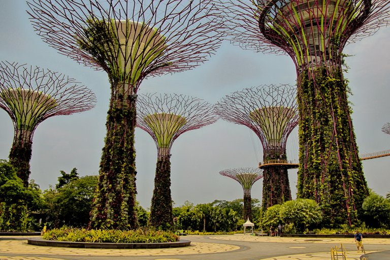 IMG_6839_HDR_1-2 (1).jpg