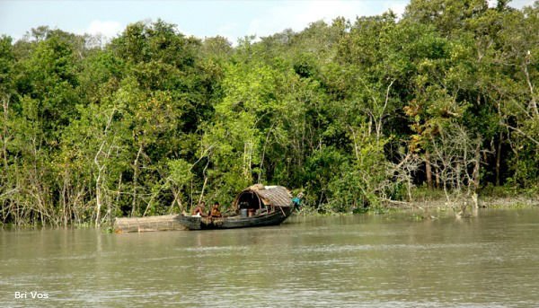 boat_in_sundarbans.jpg