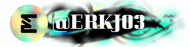 erkj03 banner.jpg