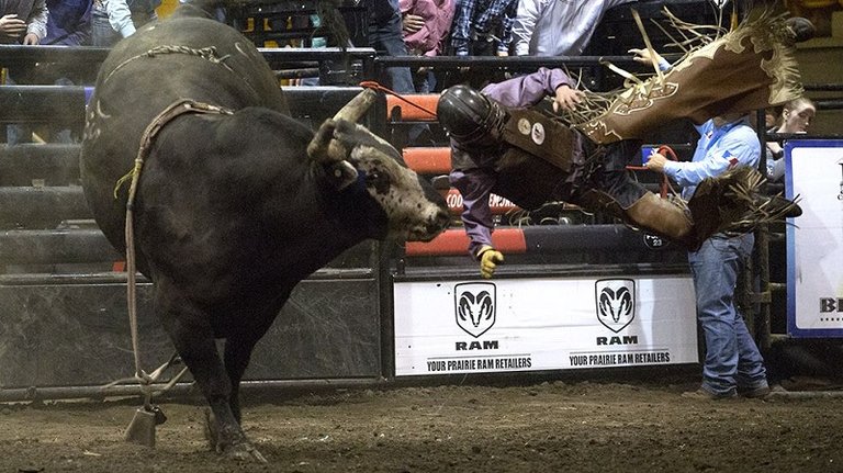 PBR2_Rodeo_BullRiding_Cowboy_BryanEneas_paNOW_2017.jpg