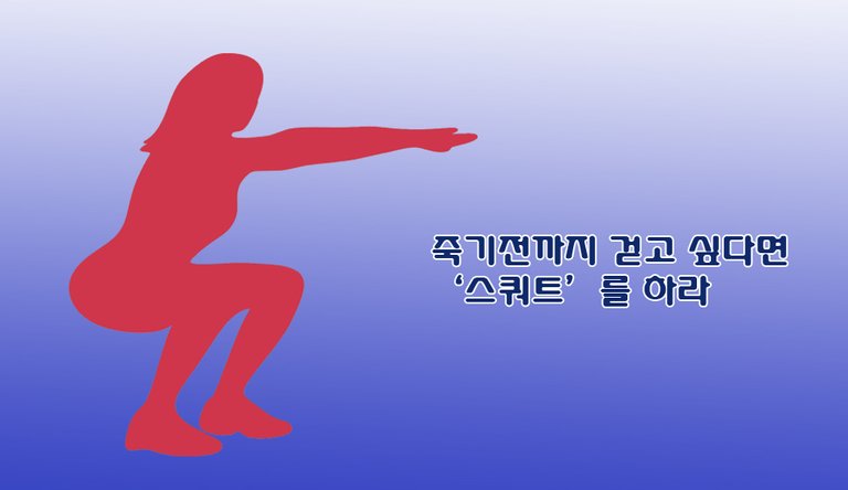 스쿼트 바른 자세.jpg