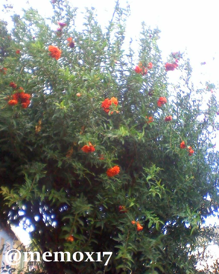 IMG20180822182024.jpg