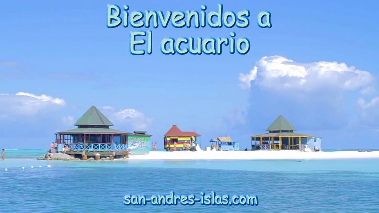 Visita San Andres Islas -- El Acuario en San Andres Islas.jpg