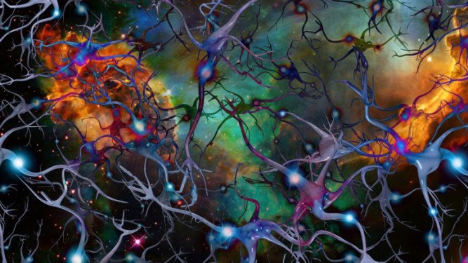 neurons-in-the-cosmos-771x433.jpg