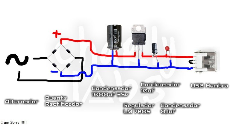 circuito-bici.jpg