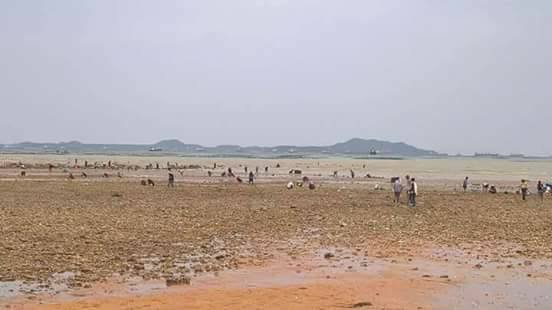 thailand1.jpg