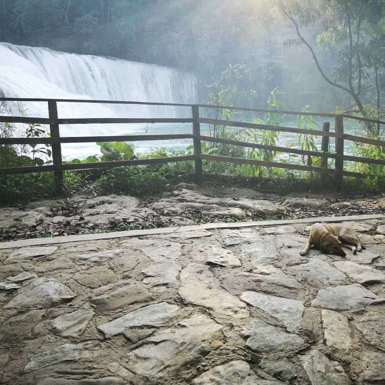 Agua Azul 4.jpg