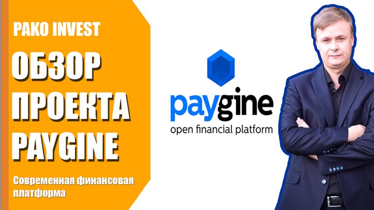 paygine обзор проекта.jpg