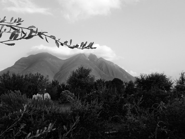 Cerro-de-la-Silla.jpg