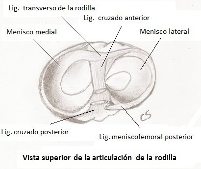 SCAN0002 - copia.JPG