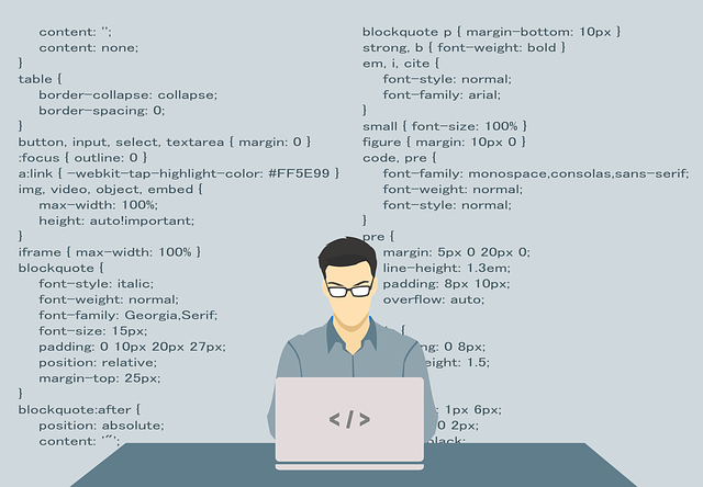 programmer-1653351_640.png