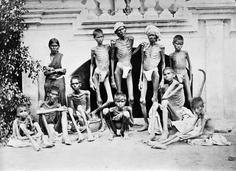 Famine,_1876-78,_Bangalore_Wellcome_M0014873.jpg