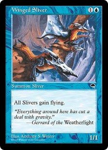 sliver-flying.jpg