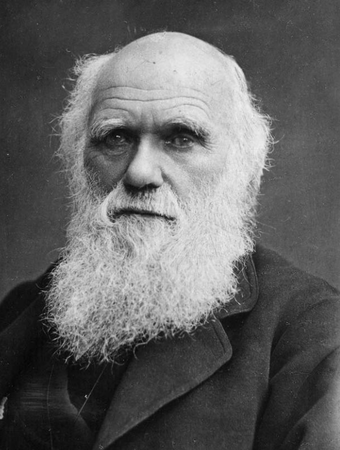 Charles_Darwin.png