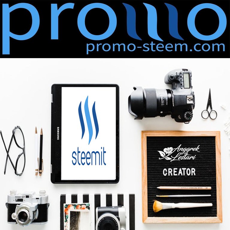 Poster Promo Steem.jpg