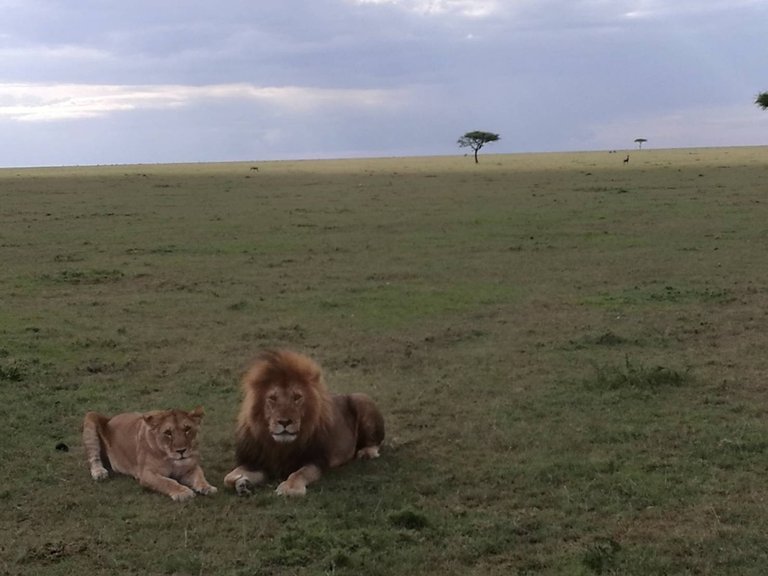 Maasai National Reserve22.jpg