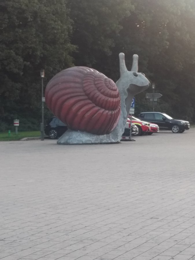 Optimized-Snail.jpg