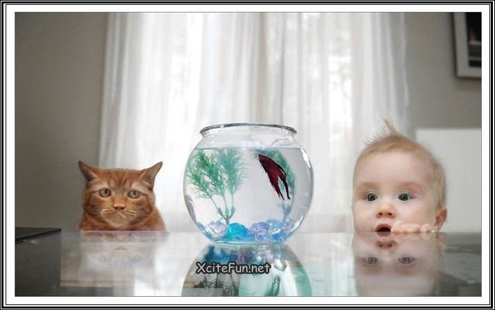 212731,xcitefun-funny-photos-of-kids-and-animals-3.jpg