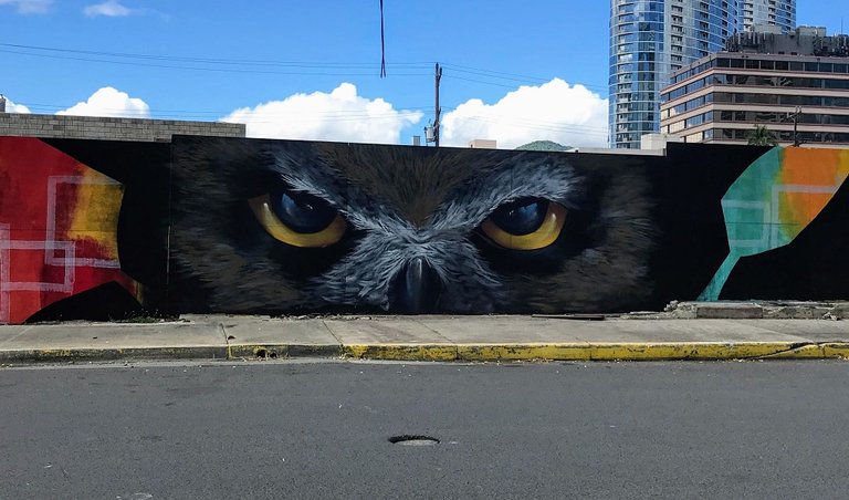 owl mural 1024.jpg