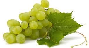 uvas.jpg