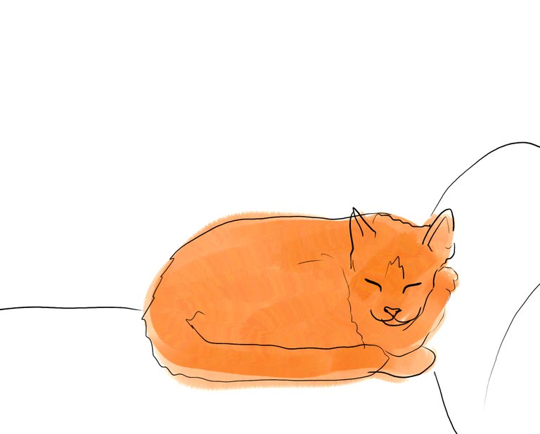 sleepycat(501).jpg