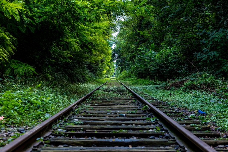 abandoned-forest-industry-34950.jpg