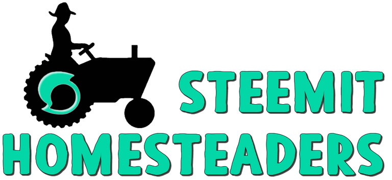 steemit-homesteaders-brand-image.png