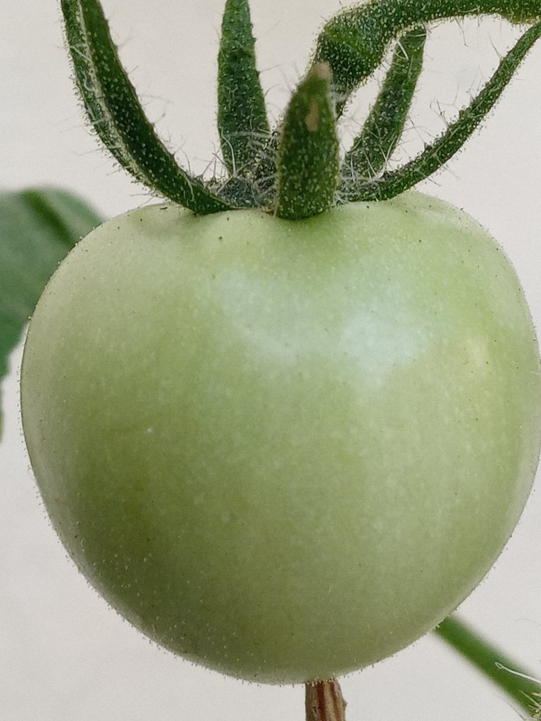 20220408_071351.jpg
