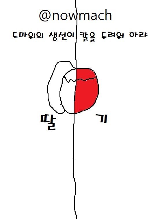 딸기-1.jpg