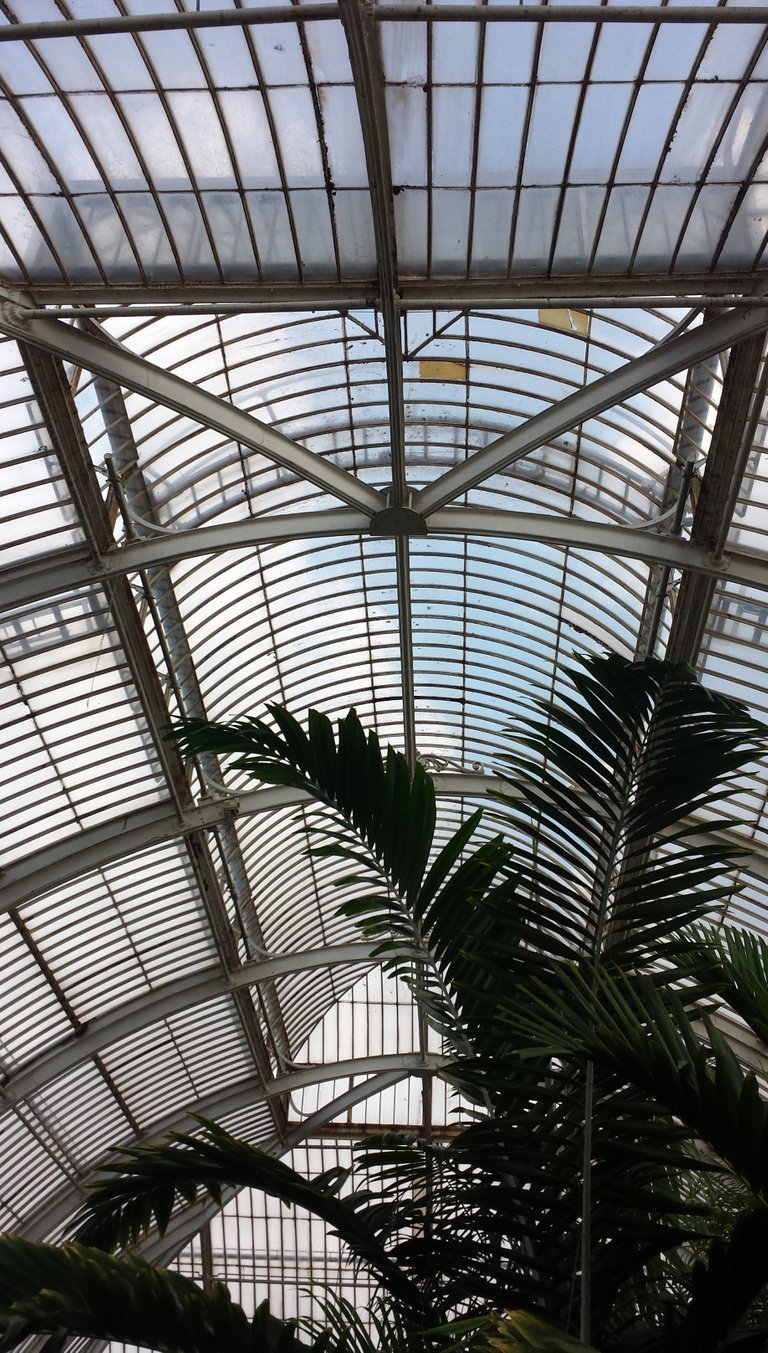 palms under roof 3.jpg