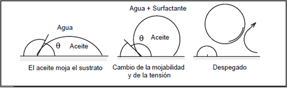 proceso 3.png