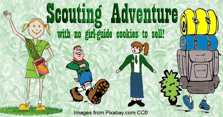 ScoutsBanner.jpg